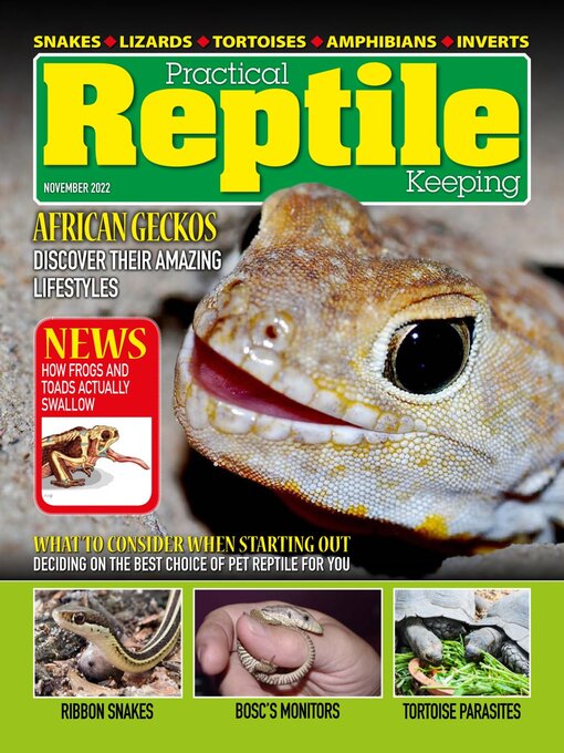 Title details for Practical Reptile Keeping by David Alderton - Available